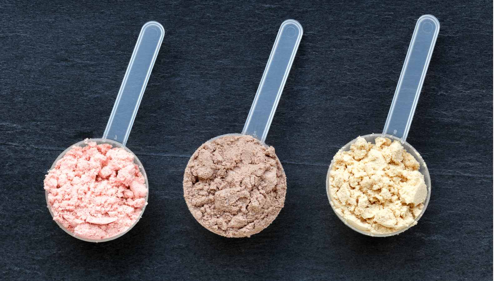How to choose the best protein powder for you?