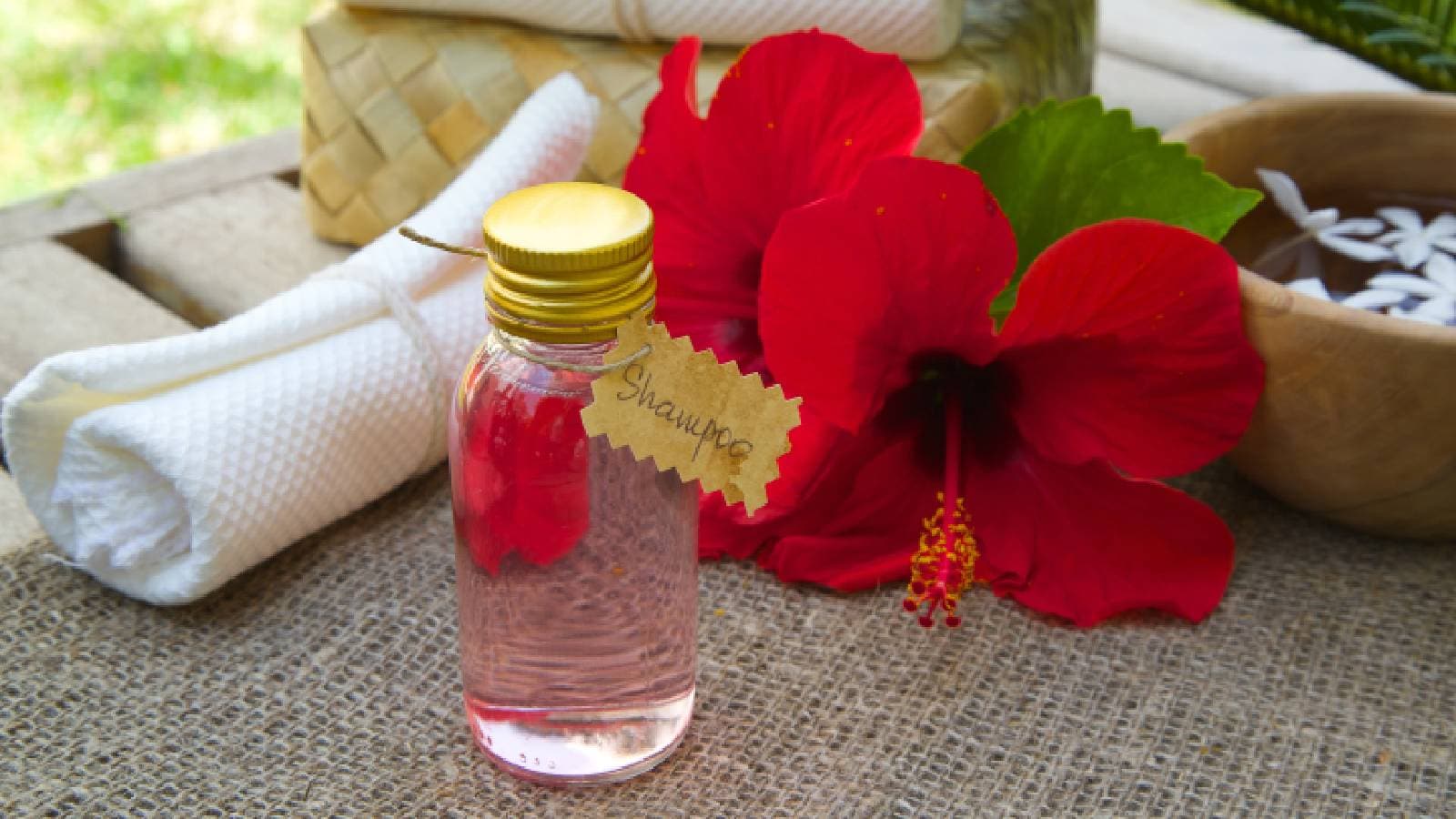 Best hibiscus shampoo for hair growth: Top 5 picks