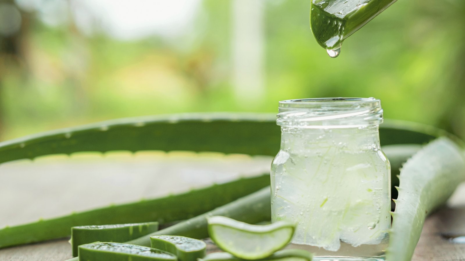 Using aloe vera gel can help you get rid of dandruff, says my mom