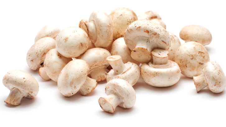 Common cultivated mushroom key to fat-trapping ingredient new to U.S. market