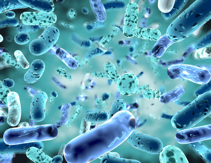 FrieslandCampina study: Prebiotic increases Bifidobacterium abundance in women at low dose